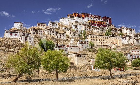 Bild på Thikse Monastery